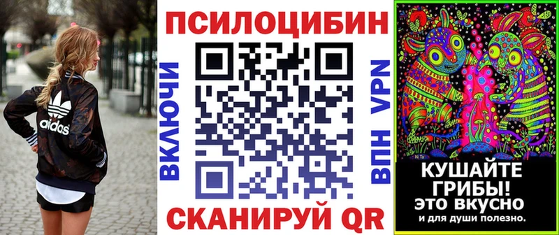 Купить где  Кирсанов  Псилоцибиновые грибы Cubensis 